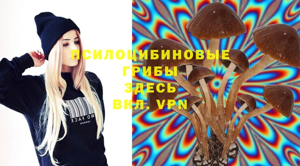 эйфоретик Абаза