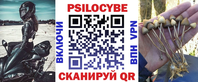 Галлюциногенные грибы прущие грибы  Дмитровск 
